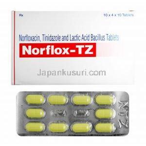 ノルフロックス TZ (チニダゾール/ ノルフロキサシン/ 乳酸菌)
